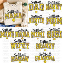 Load image into Gallery viewer, Custom Softball 🥎
