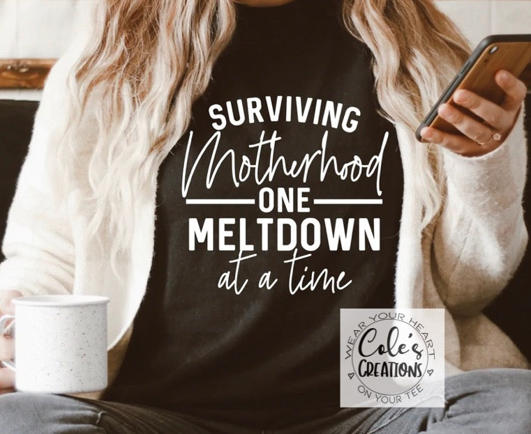 Surviving Motherhood one meltdown at a time